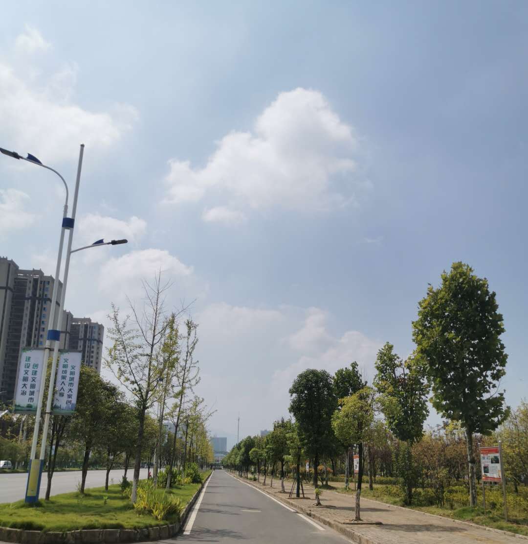 站前大道綠化-04 站前大道綠化-04