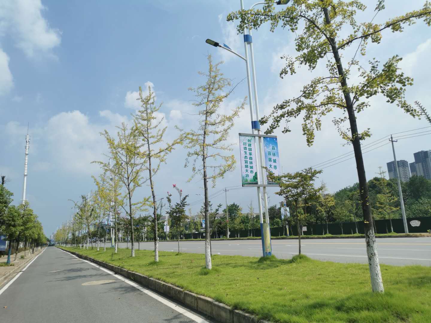 站前大道綠化-03 站前大道綠化-03