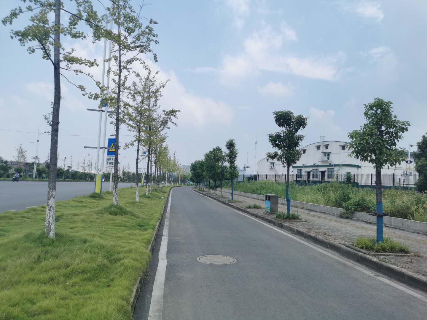 羅家橋綠化-03 羅家橋綠化-03