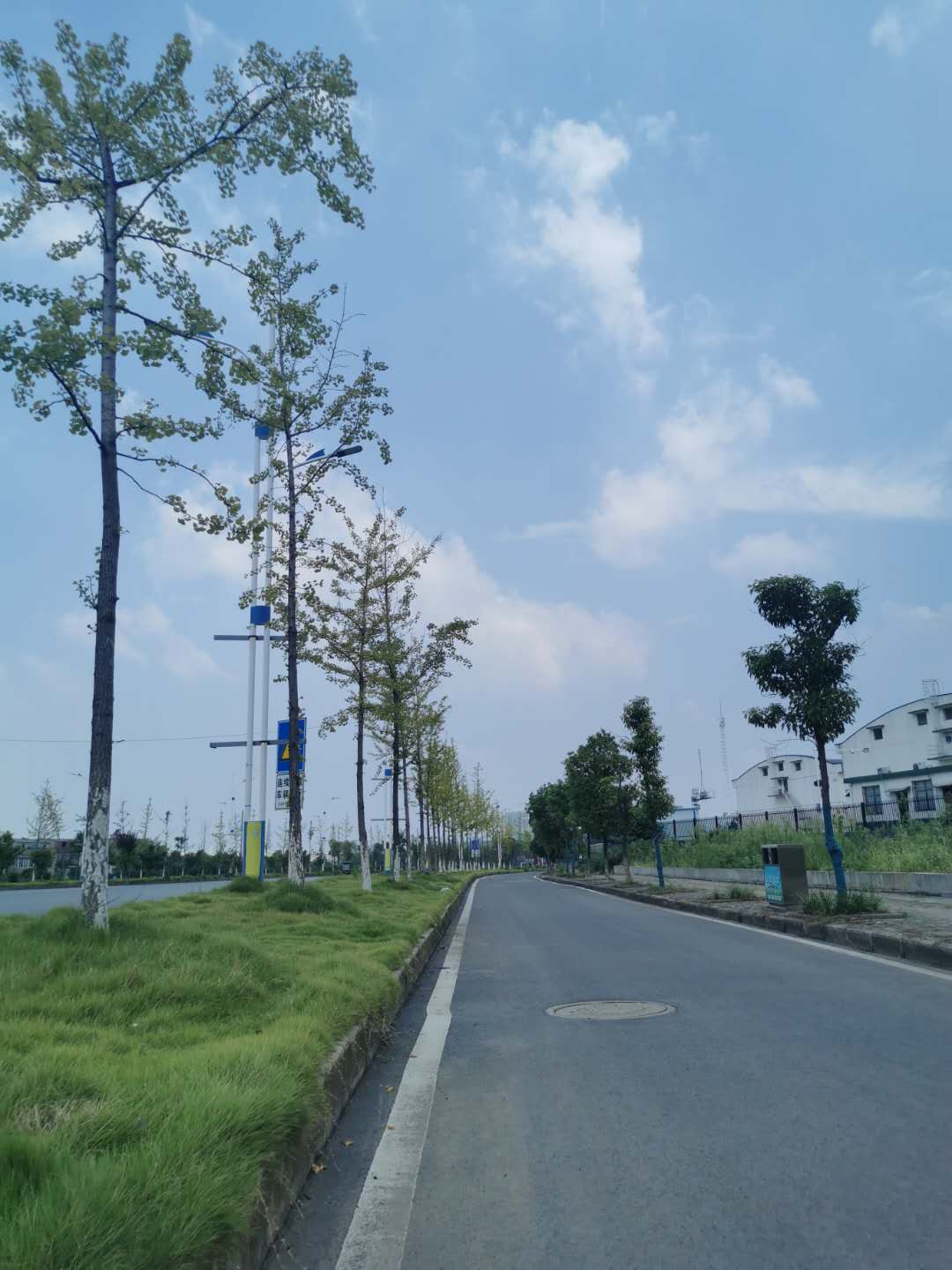 羅家橋綠化-02 羅家橋綠化-02