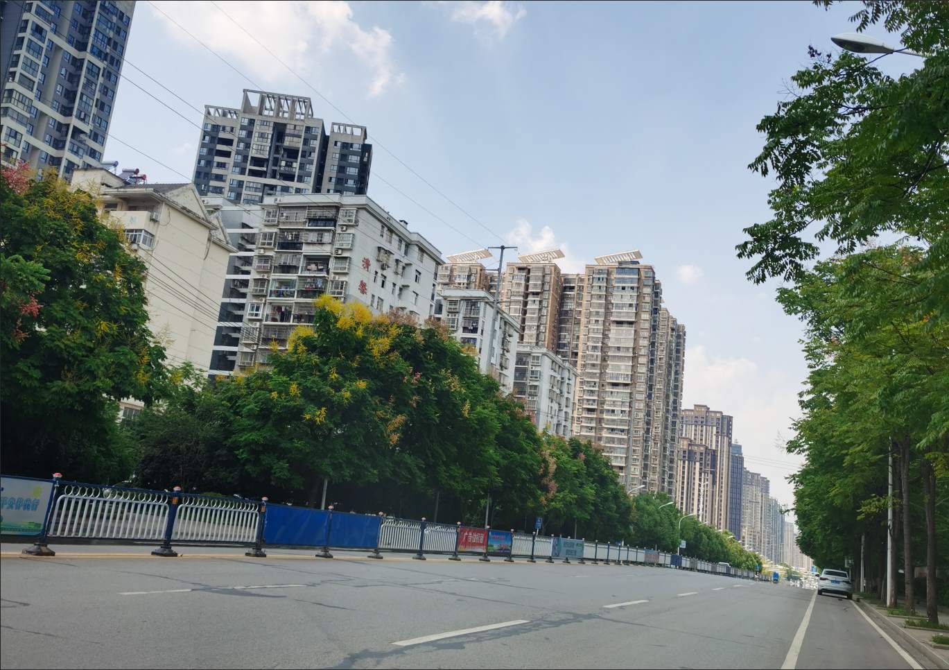 金湖大道綠化-01 金湖大道綠化-01