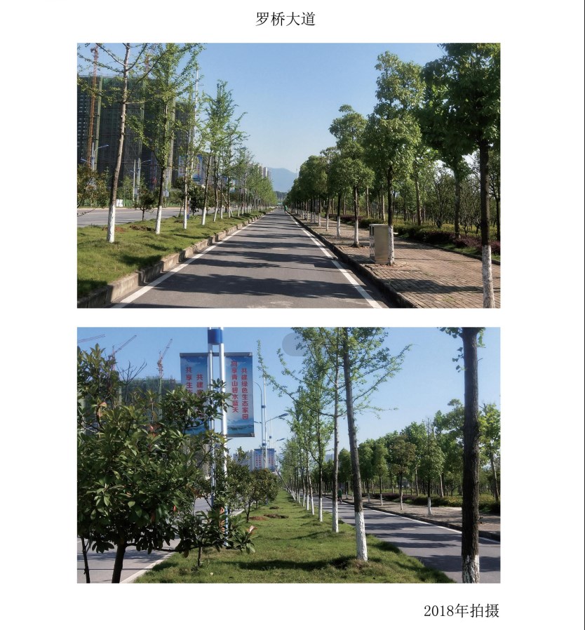 羅家橋綠化 羅家橋綠化