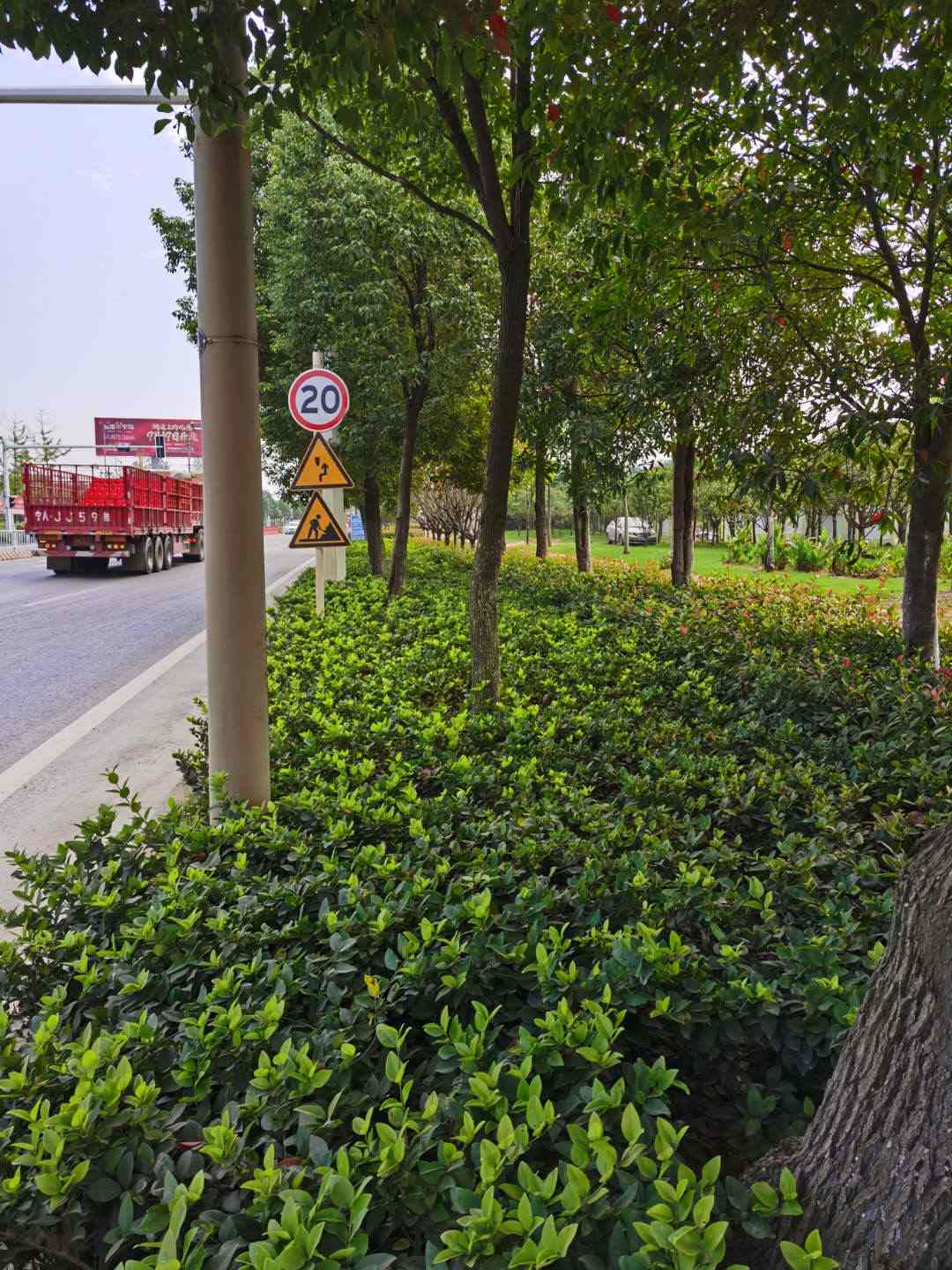 大棋路綠化-03 大棋路綠化-03