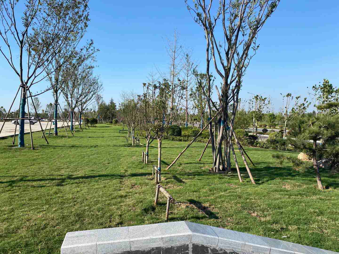 駐馬店國(guó)際會(huì)展中心項(xiàng)目-015 駐馬店國(guó)際會(huì)展中心項(xiàng)目-015