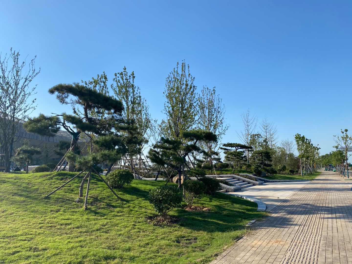 駐馬店國(guó)際會(huì)展中心項(xiàng)目-014 駐馬店國(guó)際會(huì)展中心項(xiàng)目-014