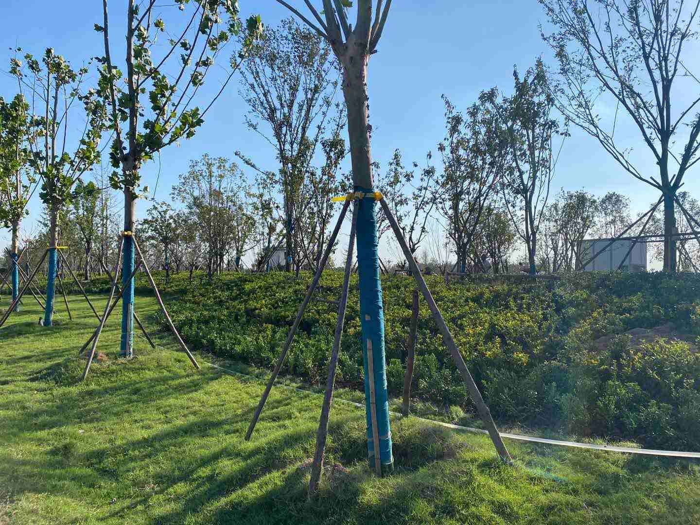 駐馬店國(guó)際會(huì)展中心項(xiàng)目-013 駐馬店國(guó)際會(huì)展中心項(xiàng)目-013