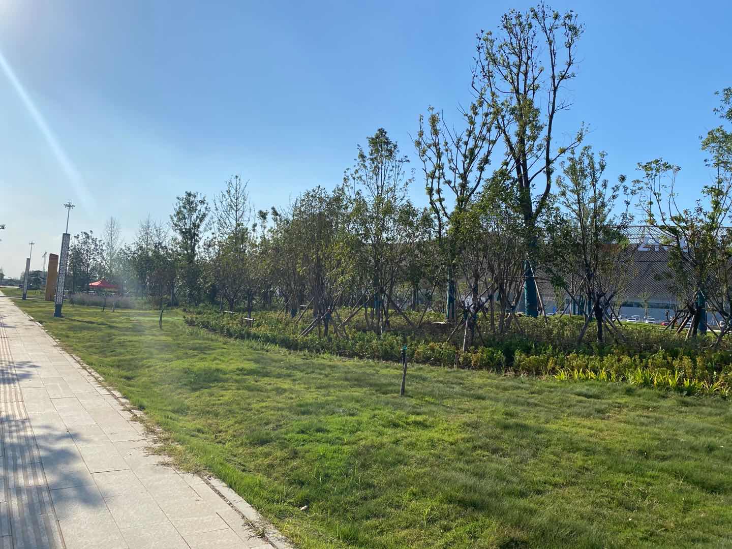 駐馬店國(guó)際會(huì)展中心項(xiàng)目-012 駐馬店國(guó)際會(huì)展中心項(xiàng)目-012