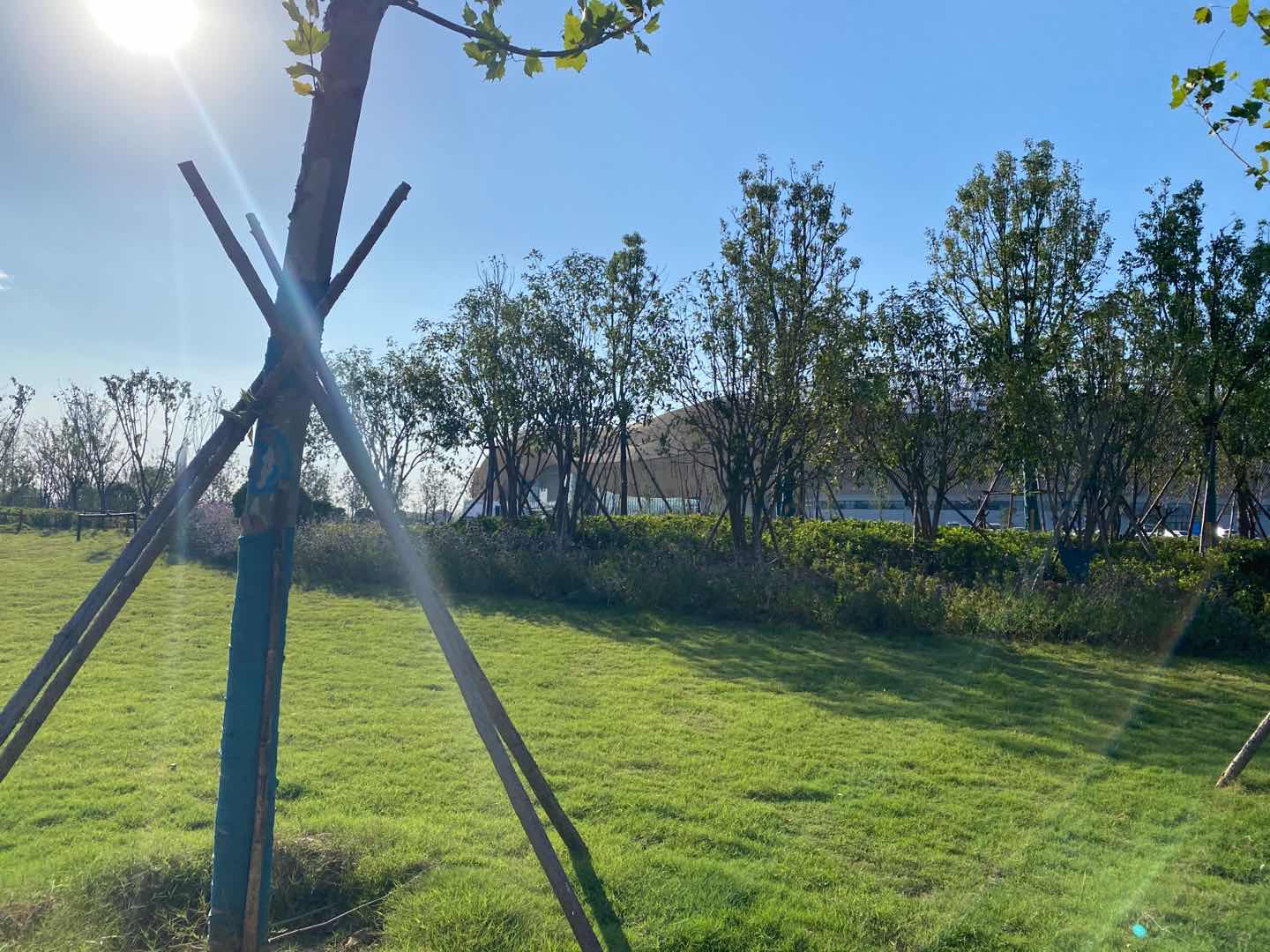 駐馬店國(guó)際會(huì)展中心項(xiàng)目-009 駐馬店國(guó)際會(huì)展中心項(xiàng)目-009